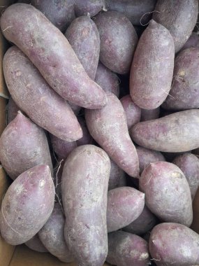 Mor tatlı patates, çiğ kök, sebze, izole edilmiş arka plan. Sağlıklı besleyici tatlı patatesler.  