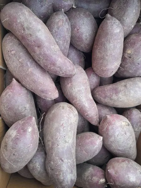 Mor tatlı patates, çiğ kök, sebze, izole edilmiş arka plan. Sağlıklı besleyici tatlı patatesler.  