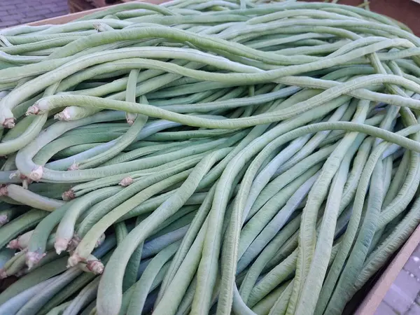 Yeşil, beyaz, uzun, çiğ sebzeler. Uzun fasulyeler sağlıklı sebzeler..  