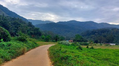 Bir vadide sonsuzluğa giden yeşil yollar