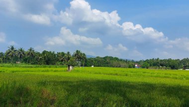 yeşil alan mavi gökyüzü ve beyaz bulutlar