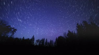 Gece gökyüzü, orman üzerindeki yıldız izleriyle birlikte 4K zaman aşımına uğradı. Yıldız izleriyle soyut zaman atlamaları. Yüksek kalite 4k görüntü
