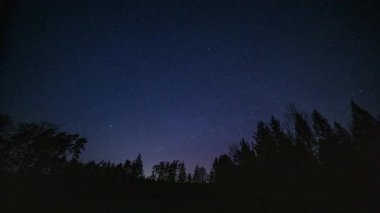 Ormanın üzerinde az miktarda kuzey ışığı bulunan 4 km 'lik bir zaman dilimi. Gece manzarası. Yüksek kalite 4k görüntü