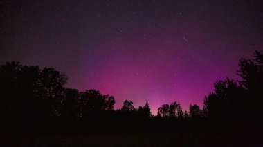 Kuzey ışıkları ormanın üzerinde - gece manzaralı 4k zaman dilimi. Yüksek kalite 4k görüntü