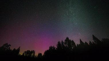 Kuzey ışıkları ve yıldızlı gökyüzü, gece süreleri. Orman ve gökyüzü olan gece manzarası. Yüksek kalite 4k görüntü