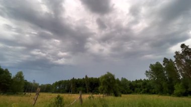 Çayır ve ormanın üzerinde fırtına bulutları. Kırsal alan. Yüksek kalite 4k görüntü