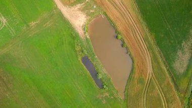 İHA 'dan yeşil çayır ve küçük gölet. Hava videosu. Yüksek kalite 4k görüntü
