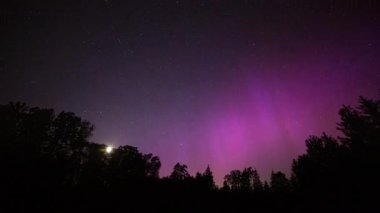 Ormanın üzerinde Aurora Borealis ile 4k zaman atlaması. Hareket süresi doluyor. Yüksek kalite 4k görüntü