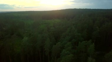 Gün batımında uçuş, günbatımında Avrupa ormanı yukarıdan. - Evet. Yüksek kalite 4k görüntü
