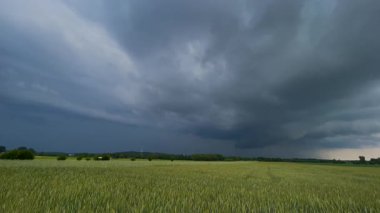 Tarlaların üzerinde fırtına bulutları. Fırtınalı gökyüzü ile yaz manzarası. Yüksek kalite 4k görüntü