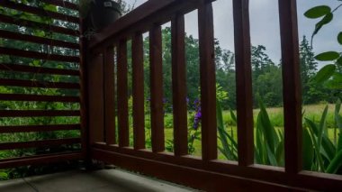 Tahta terastan, arka bahçeden ve ormandan zaman aşımı manzarası. - Evet. Yüksek kalite 4k görüntü