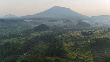 Endonezya, Bali 'de güneş doğarken pirinç tarlalarının hava görüntüsü