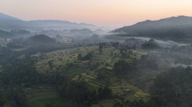 Endonezya, Bali 'de güneş doğarken pirinç tarlalarının hava görüntüsü