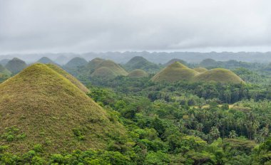 Filipinler, Bohol 'daki Çikolata Tepeleri manzarası, bulutlu bir bahar günü