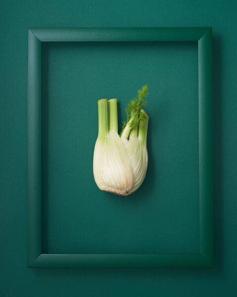 Фенхель в деревянной рамке на зеленом фоне