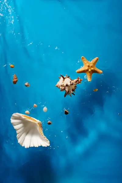 不同的海贝壳 海星和石头在明亮的蓝色海水中波涛汹涌 图库照片