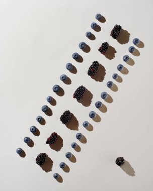 Beyaz arka planda dramatik gölgeli yaban mersini ve böğürtlen