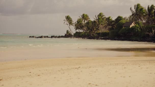Cook Island Óceán Közepén New Yorkban Ausztráliában — Stock videók