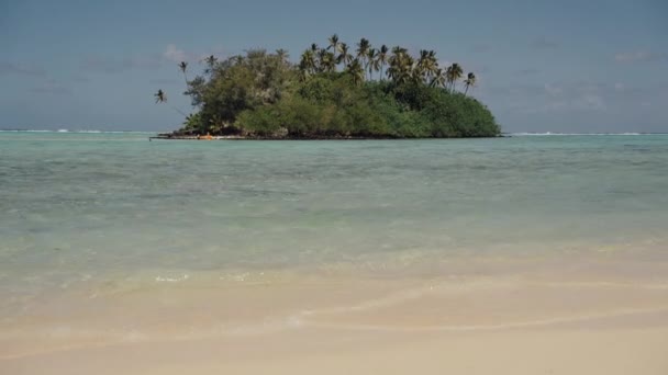 Isla Cook Medio Del Océano Nsw Australia — Vídeos de Stock