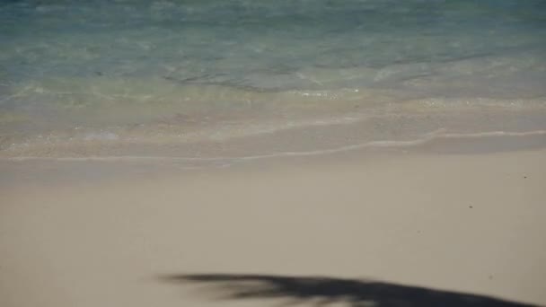 Остров Кука Середине Океана Новом Южном Уэльсе Австралия Стоковый Видеоролик