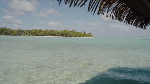 Νήσος Κουκ Στη Μέση Του Ωκεανού Nsw Αυστραλία — Αρχείο Βίντεο