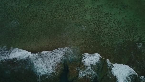 Cook Island Middle Ocean Nsw Australia Aerial Shot — Stock Video