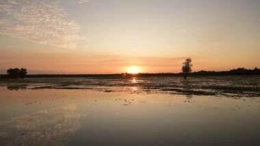Sarı suda alacakaranlık, Kakadu Ulusal Parkı, Kuzey Toprakları, Avustralya