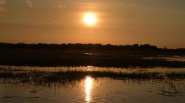 Sarı suda alacakaranlık, Kakadu Ulusal Parkı, Kuzey Toprakları, Avustralya