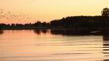 Sarı suda alacakaranlık, Kakadu Ulusal Parkı, Kuzey Toprakları, Avustralya