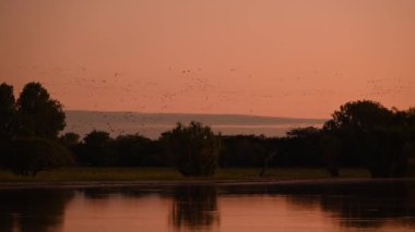 Sarı suda alacakaranlık, Kakadu Ulusal Parkı, Kuzey Toprakları, Avustralya