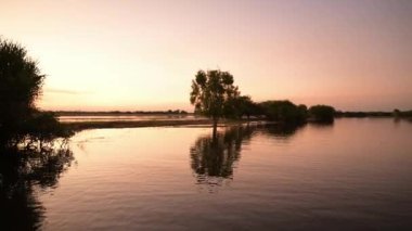 Sarı suda alacakaranlık, Kakadu Ulusal Parkı, Kuzey Toprakları, Avustralya