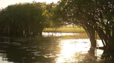 Sarı suda alacakaranlık, Kakadu Ulusal Parkı, Kuzey Toprakları, Avustralya