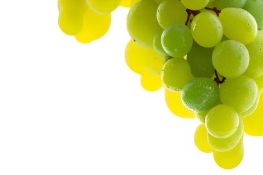 Beyaz arkaplanda yeşil üzümler