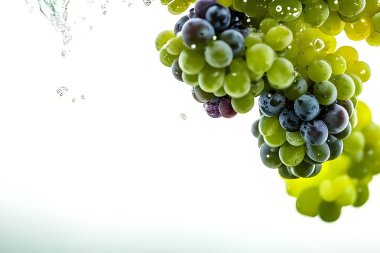 Beyaz arkaplanda taze üzümler