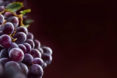 Karanlık bir arka plan üzerinde kırmızı üzüm.