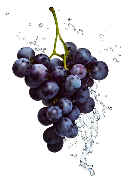Blue Grapes White Background Illustration — Stockfoto