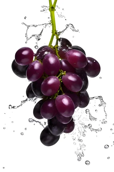 Fresh Grapes Water Drops — Stok fotoğraf