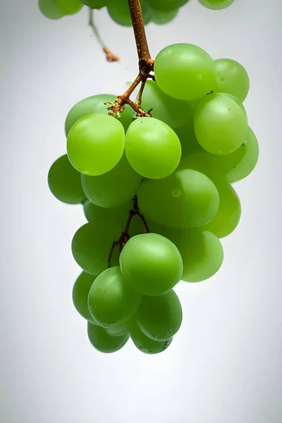 bir daldaki yeşil üzümler