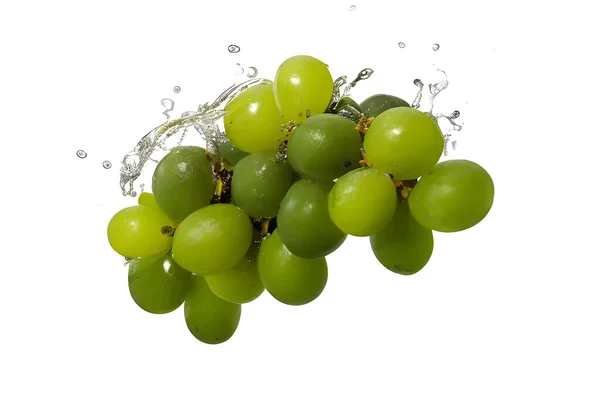 Green Grapes Water Drops White Background — Stok fotoğraf