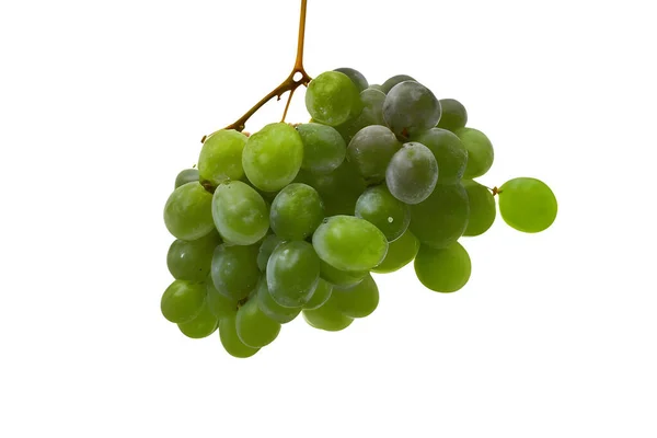 Bündel Grüner Trauben Isoliert Auf Weißem Hintergrund — Stockfoto
