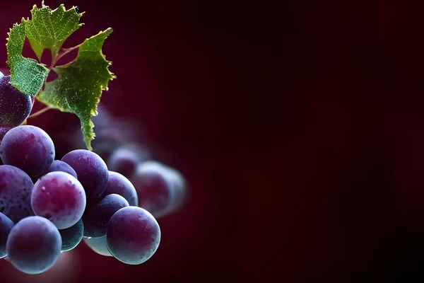 stock image red grapes on a black background