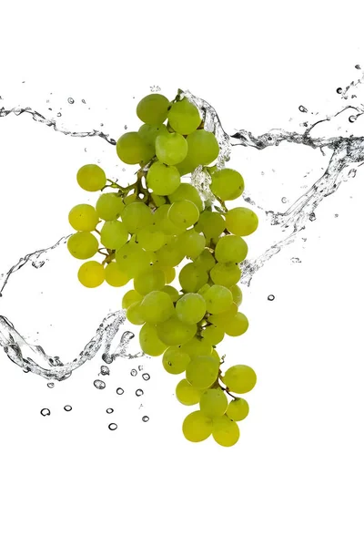 fresh green grapes in water isolated on white background