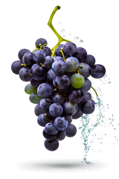 Beyaz arkaplanda izole edilmiş üzümler