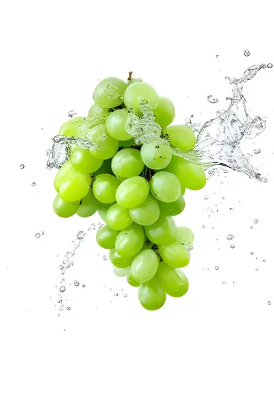 Uvas Verdes Frescas Con Gotas Agua Aisladas Sobre Fondo Blanco —  Fotos de Stock