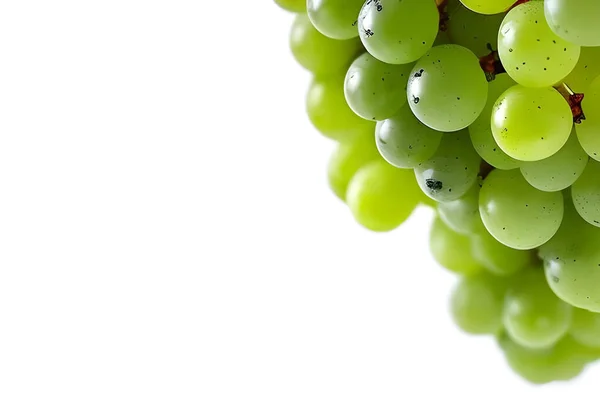 Beyaz arkaplanda izole edilmiş yeşil üzümler
