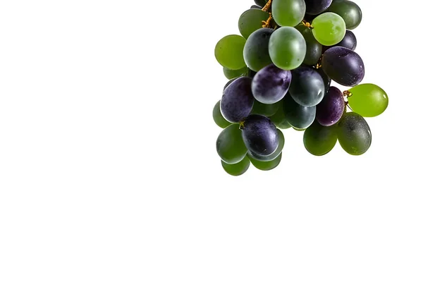 白い背景に隔離された緑のブドウ — ストック写真