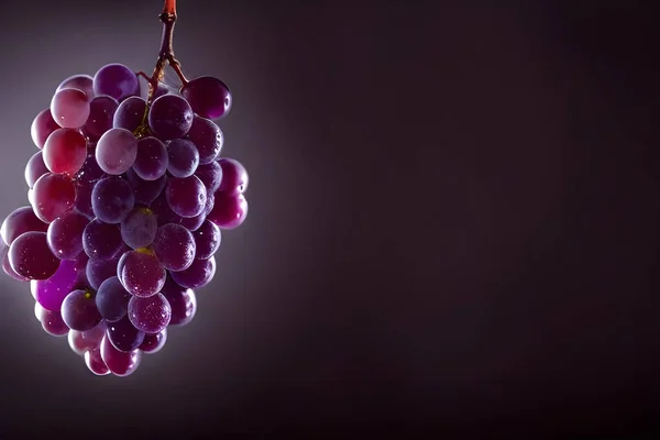 Karanlık bir arka plan üzerinde kırmızı üzüm.