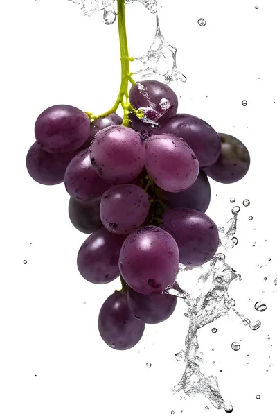 fresh grapes in water isolated on white background