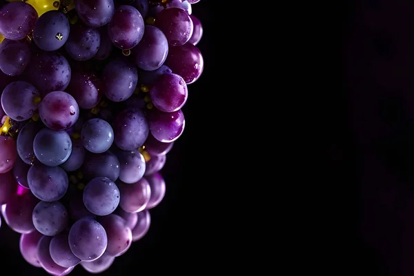 bunch of fresh ripe grapes on a black background