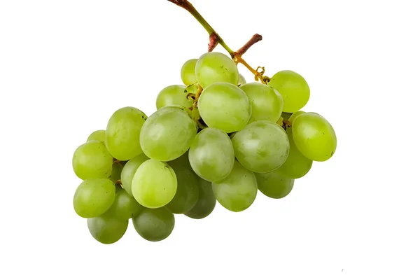 Grüne Trauben Isoliert Auf Weißem Hintergrund — Stockfoto